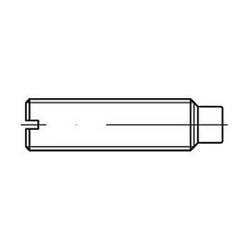 Gewindestifte mit Schlitz und Zapfen ISO 7435 14 H M 5 x 20 VE=S (Madenschrauben), CAB FASTENING