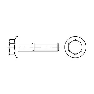 Sechskantschrauben mit Flansch,schwere Reihe EN 1665 8.8 M 16 x 30 galv. verzinkt gal Zn VE=S, CAB FASTENING