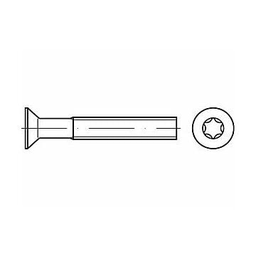 Senkschrauben mit Innensechsrund ISO 14581 08.8 M 8 x 30 -T45 galv.verz., CAB FASTENING