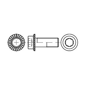 Zylinder-Flanschschrauben mit Sperr-Rippen Kl. 100 M 10 x 25 flZn/nc/TL/x/480h/C flZn, CAB FASTENING