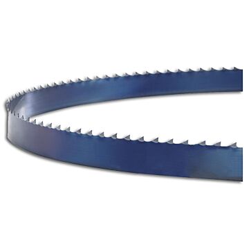 HOLZSTAR Sägeband 1575x6x0,36mm 1575x6x0,36mm, 14 ZpZ