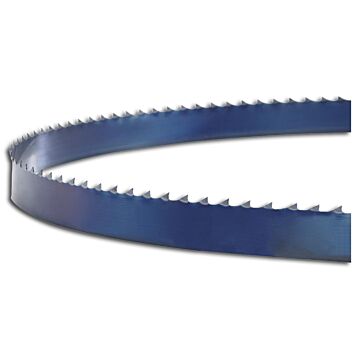 HOLZSTAR Sägeband 1575x10x0,5mm 1575x10x0,5mm, 4 ZpZ