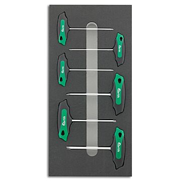WERKZEUGMODUL 1/3 T-GRIFF TORX, FORTIS