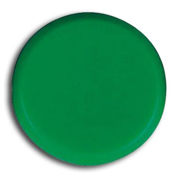 ECLIPSE Organisationsmagnet rund grün 20mm