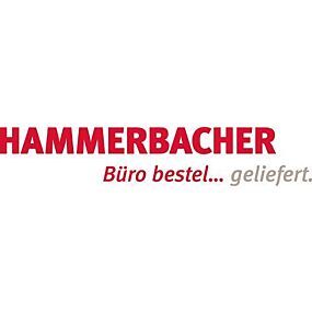 HAMMERBACHER Fachboden B766xT323xH19 mm Ahorn kaufen