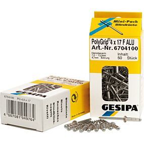 GESIPA Mini-Pack PolyGrip kaufen